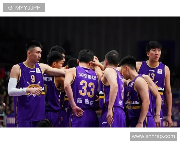 辽宁对北控精彩回放全场比赛视频解析与精彩瞬间回顾